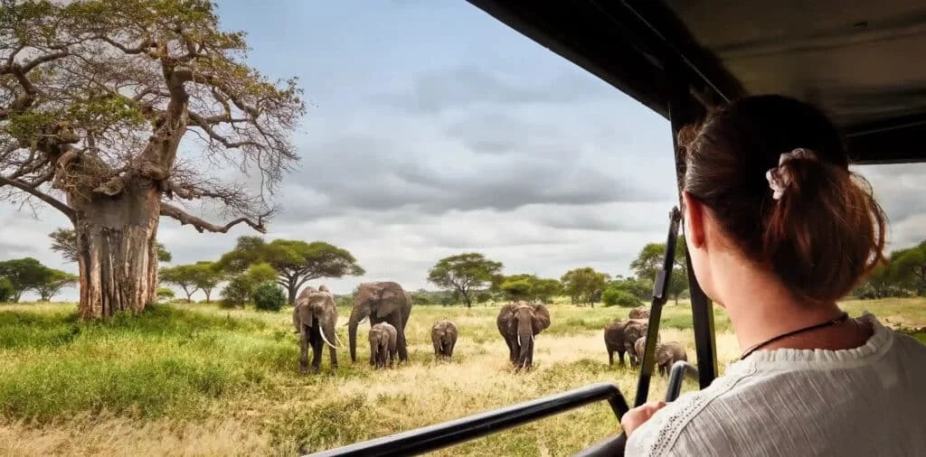 3-Day Serengeti & Ngorongoro Crater Fly-In Safari