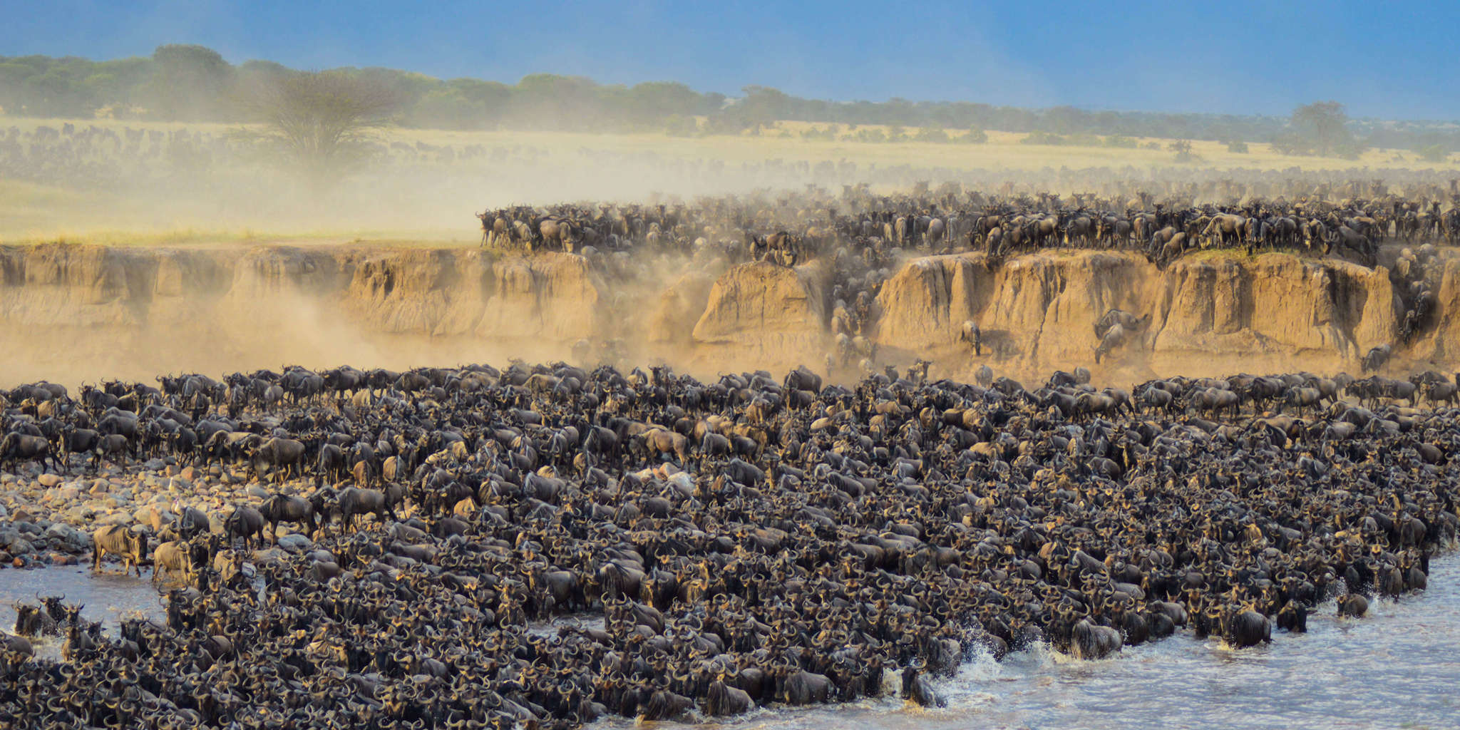4-Day Great Migration Calving Season & Ngorongoro Crater Safari