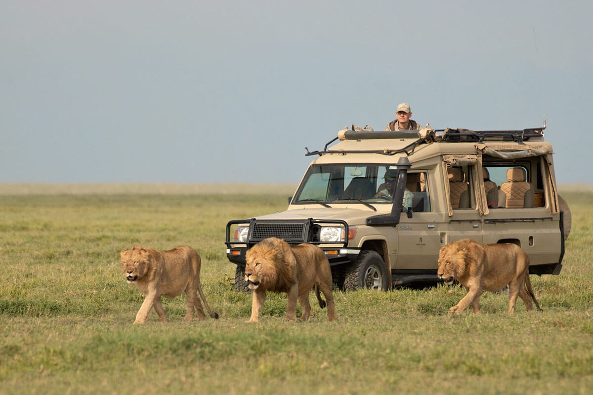 9-Day Ultimate Tanzania Safari: Serengeti, Ngorongoro & Cultural Immersion