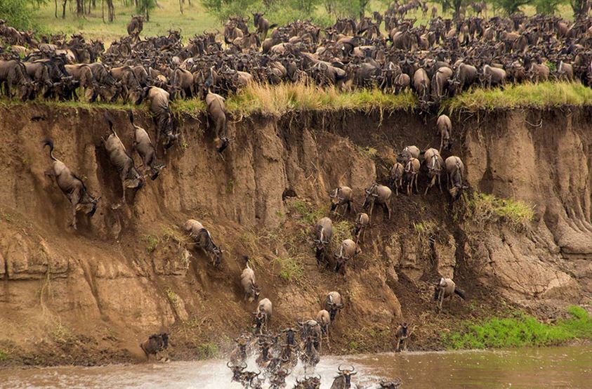 10-Day Great Migration, Cultural Immersion & Alkaline Lakes Safari