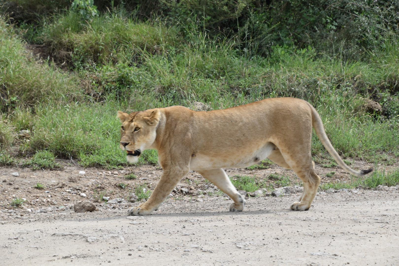 Serengeti National Park
