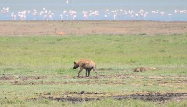 Lake Manyara